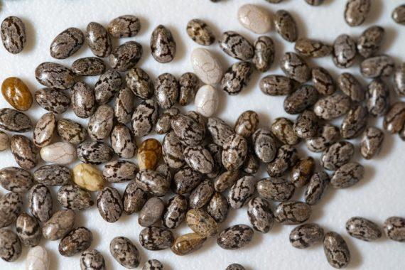 白銀買賣的智慧選擇：冷靜看待投資與市場脈動