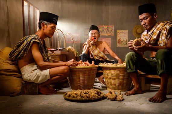 人蔘飲：專業指導與科學解讀